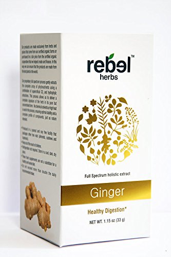 Ginger - Holistic extract powder
